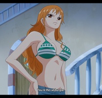 0299 nami1059