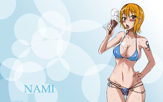 0370 Konachan.com 122738 ice cream nami one piece