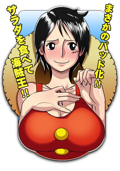 1419749602Pirate King Boobs Mouse Pad to Eat Salad by EROQUIS!.jpg